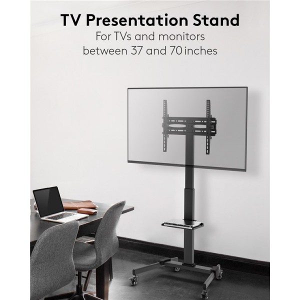 TV predstavitveno stojalo Basic (velikost L) 37 in 70 palcev (94–178 cm)
