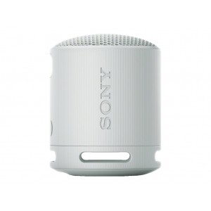 SONY SRSXB100H.CE7 brezžični zvočnik, Grey