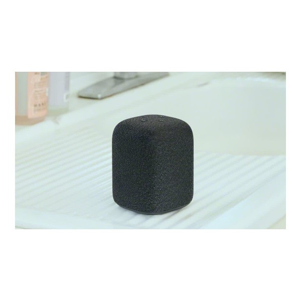 SONY SRS-LS1 LinkBuds zvočnik Black