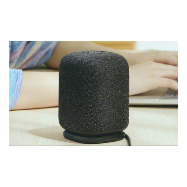 SONY SRS-LS1 LinkBuds zvočnik Black