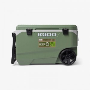 IGLOO Prenosna hladilna skrinja ECOCOOL Latitude  90, 85L, zelena