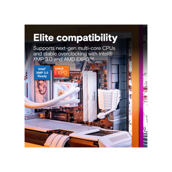 Crucial Pro 16GB DDR5-6400 UDIMM CL32, 1.35V, Bel