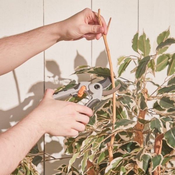 VonHaus set za obrezovanje