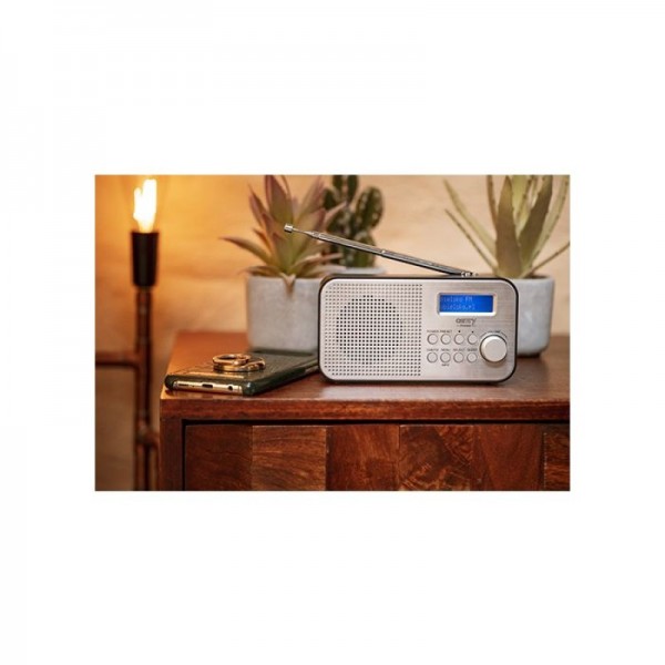 Camry digitalni prenosni radio