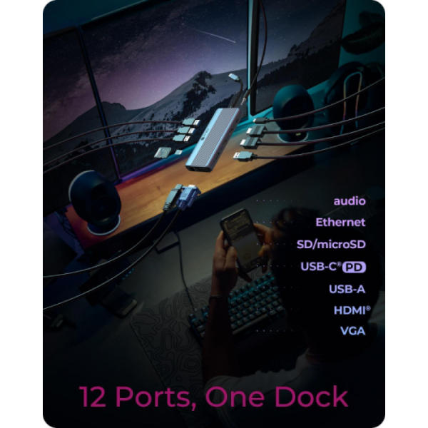 IcyBox IB-DK4062-CPD 12-v-1 DockingStation priklopna postaja s trojnim video priključkom