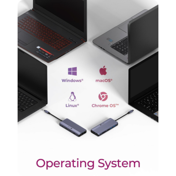 IcyBox IB-DK4062-CPD 12-v-1 DockingStation priklopna postaja s trojnim video priključkom