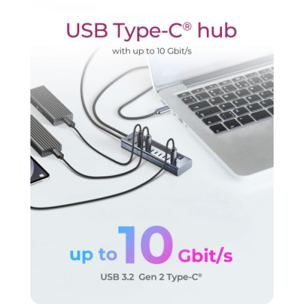 IcyBox IB-HUB1450-C31 10-portni hub vmesnik USB-C 3.2