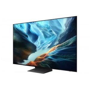 SAMSUNG TV QE55S90HAEXXH OLED