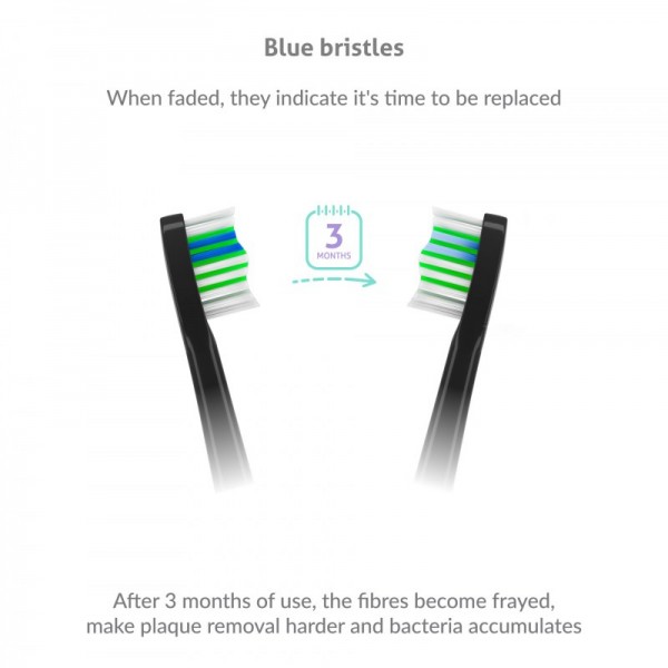 TrueLife Compact nastavek navaden 8x