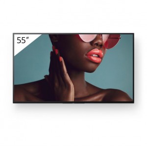 SONY BRAVIA PRO FW-55BZ40L