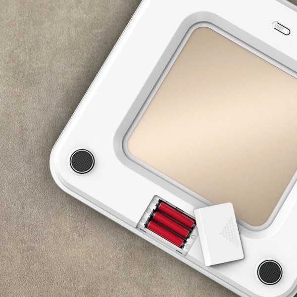 TEFAL osebna tehtnica Classic PP1900V0