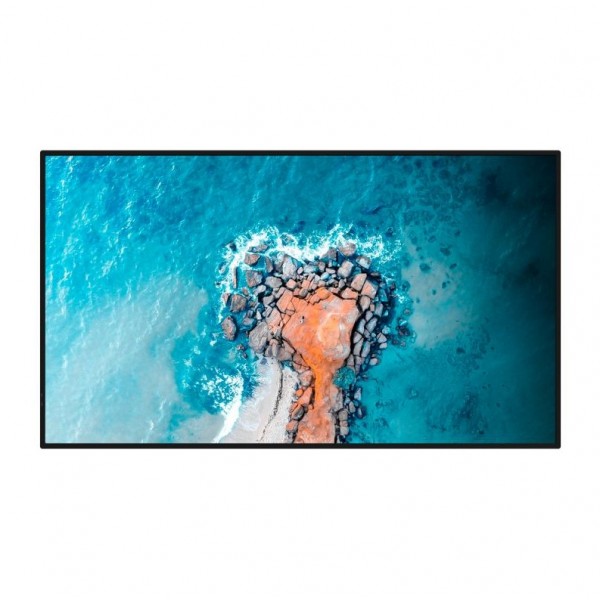 HISENSE prikazovalnik 43DM66D 43DM66D