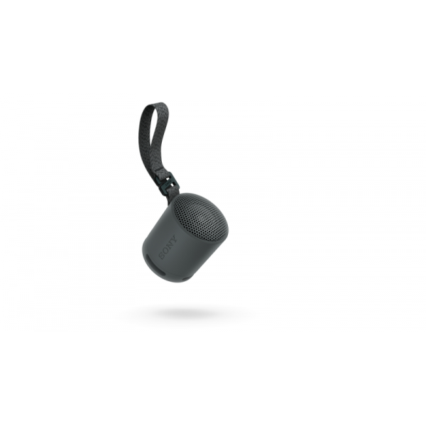 Sony Bluetooth zvočnik SRSXB100B črn