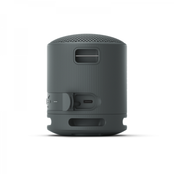 Sony Bluetooth zvočnik SRSXB100B črn