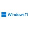 MS Windows 11 Pro for Workstations 64-Bit DVD DSP English International (EN) HZV-00101